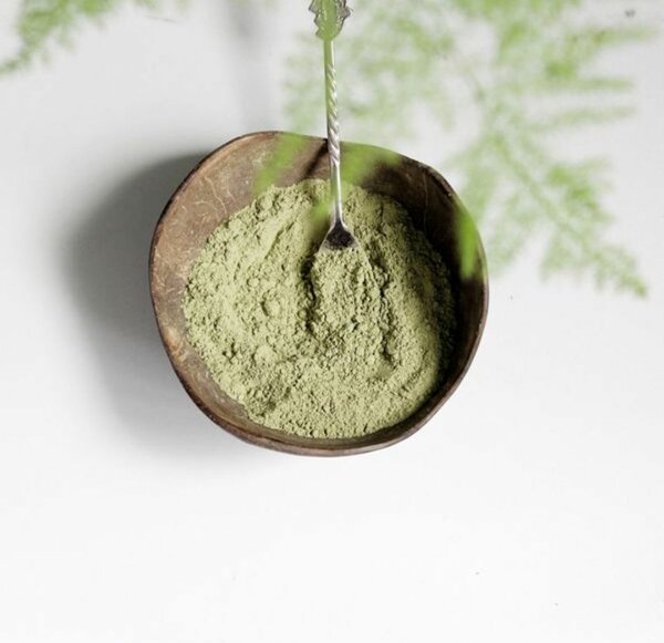 Argile verte bio 500g