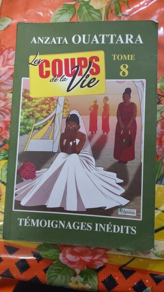 LES COUPS DE LA VIE TOME 8