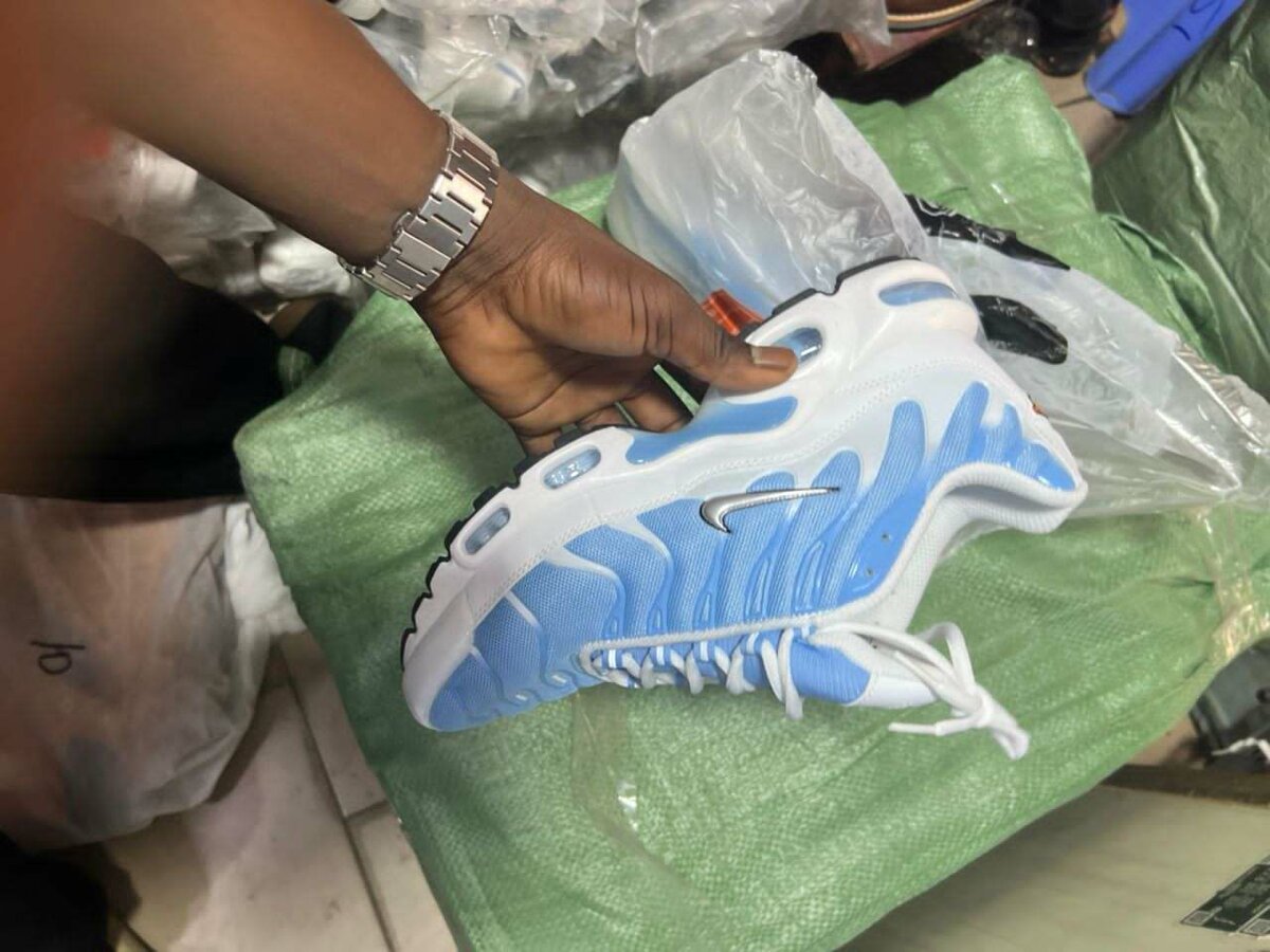 Chaussures Nike TN Air Max bleu et blanc