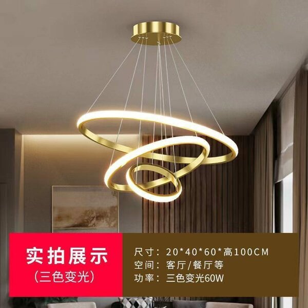 Modern Round Ring Led Lustre Chandeliers