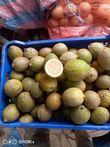 Citrons frais de qualité