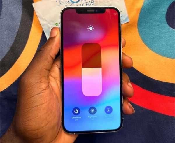 iPhone 12 pro max white color