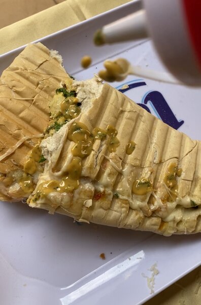 Panini fraîcheur grillé