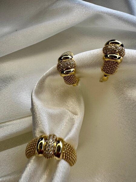 Жессика ван лиз