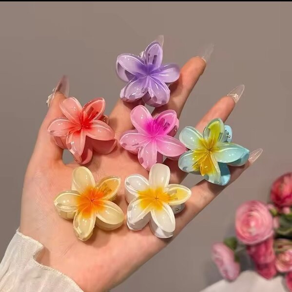 Ensemble de 6 pinces à cheveux en forme dégradée