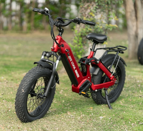 Vélo électrique tout-terrain