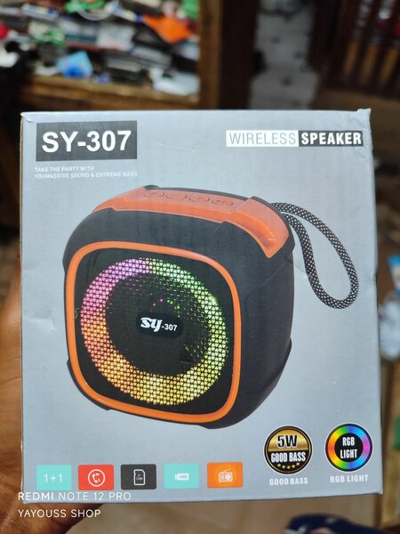 SY-307 Wireless Speaker