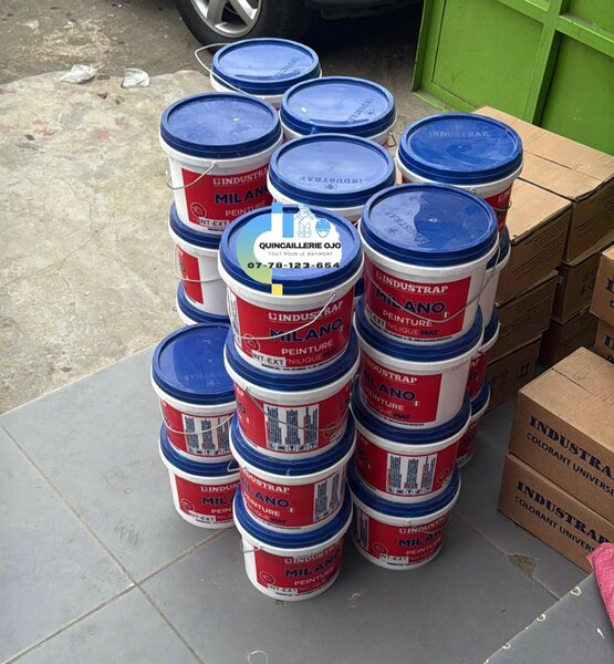 Peinture Milano 5kg à eau