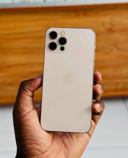 APPLY iPHONE 12 PRO MAX 512GB