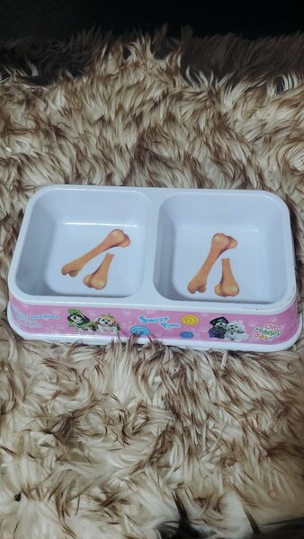 Gamelle Double pour Chiens