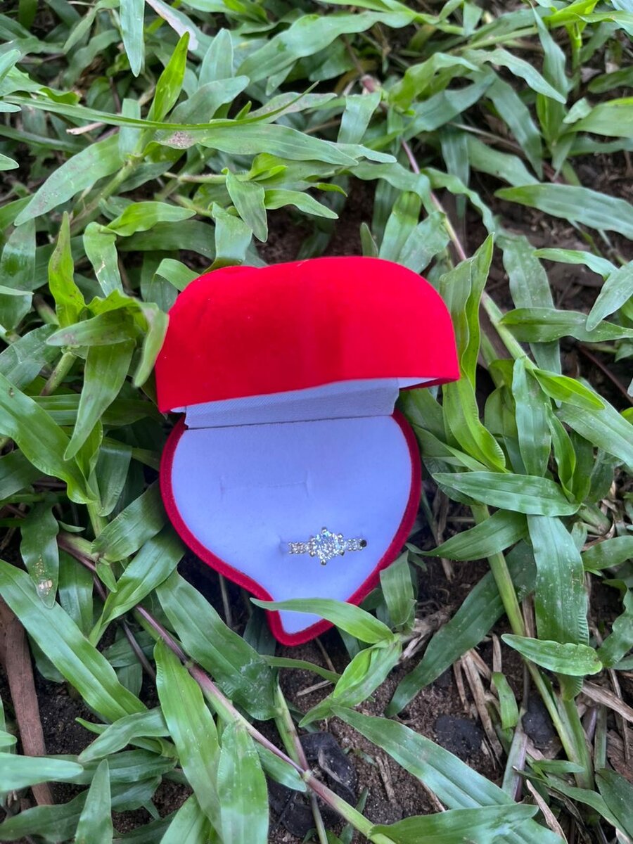 Bague de Fiançailles Élégante