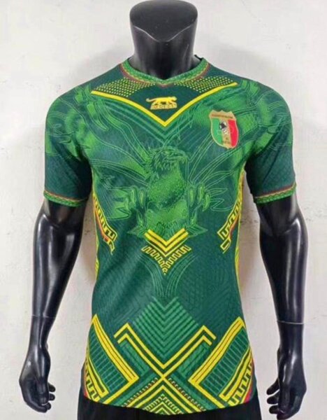 Maillot de football officiel