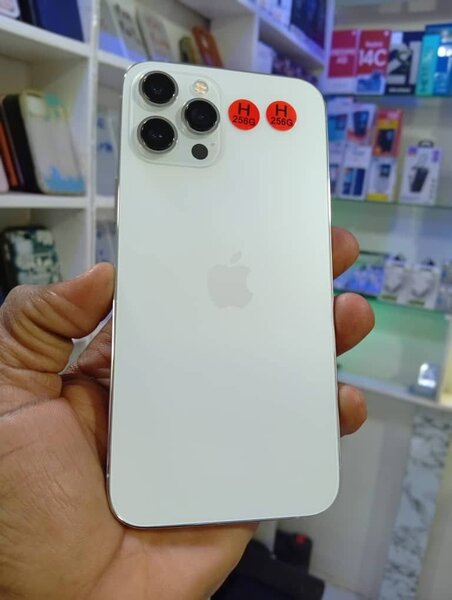 Apple iPhone Pro - Téléphone portable