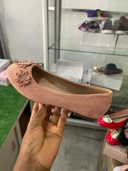 Ballerines Roses Élégantes