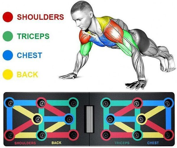 Planche de Musculation Multifonction