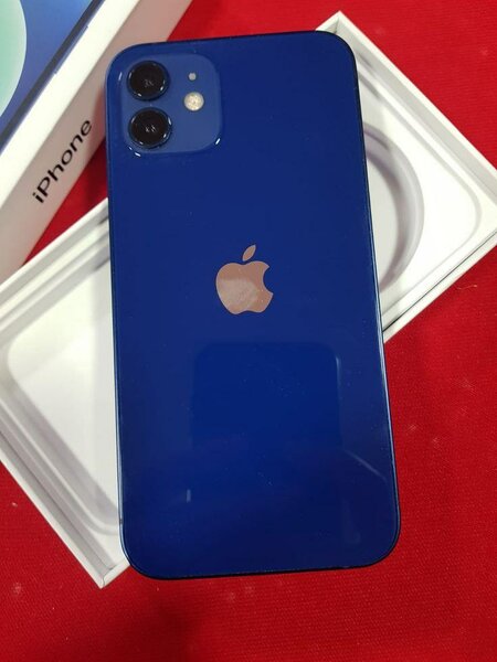 iPhone 12 Bleu