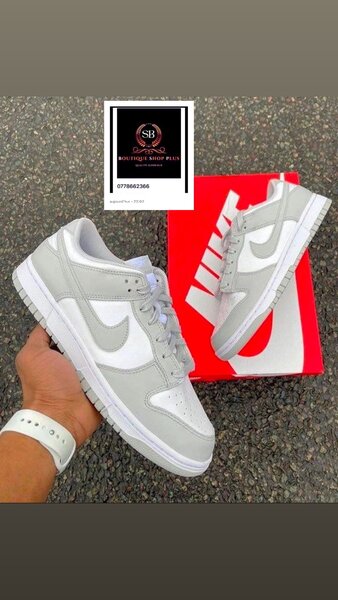 Basket nike sb authentique avec sa boîte