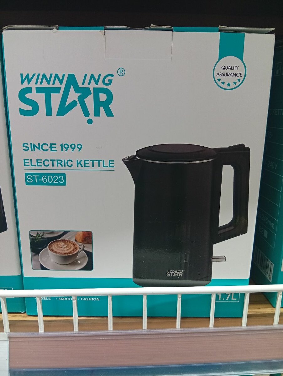 Bouilloire Électrique Inox 3L