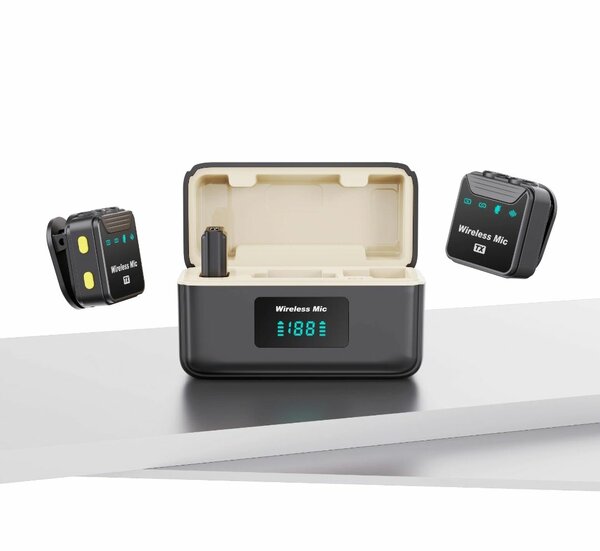 Double micro cravate professionnel