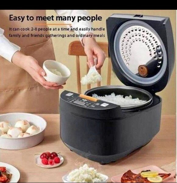 Cuiseur à Riz Électrique 5L