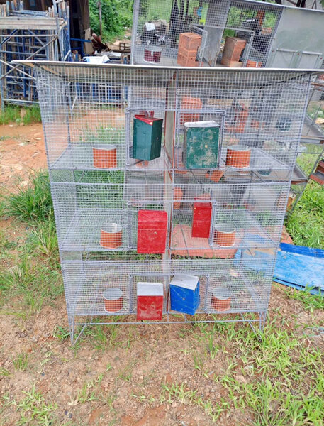 Cage pour lapins et autres animaux