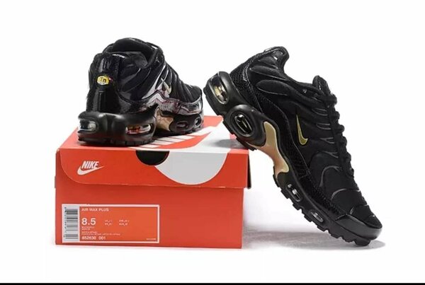 Nike TN avec son carton