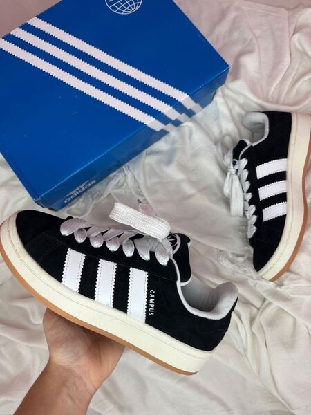 Adidas campus original