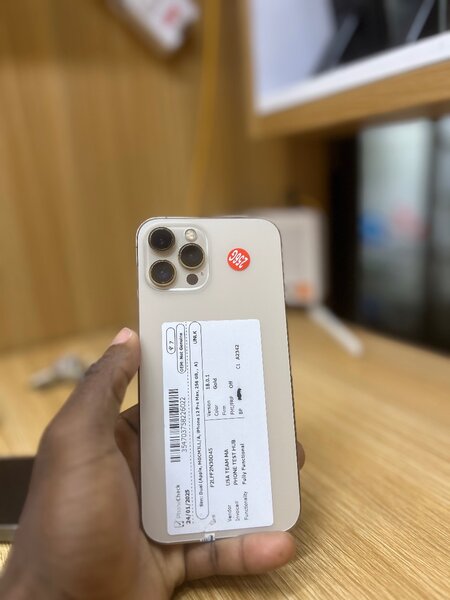 iPhone 13 Pro Max 256Gb