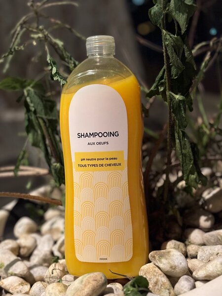 Shampooing aux Œufs Naturel