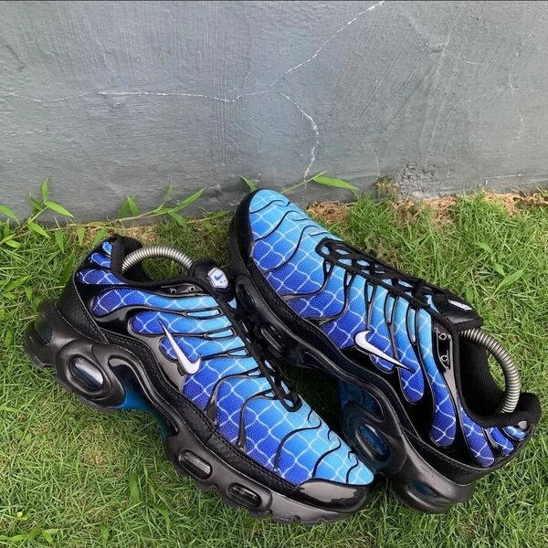 Nike Air Max Plus bleu noir