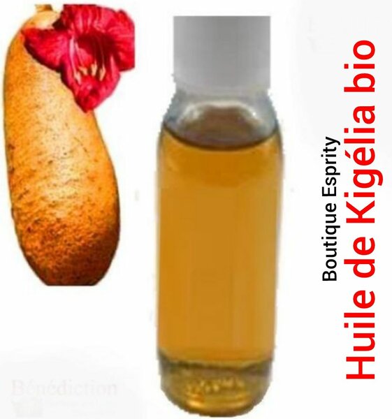 Huile de Kigélia Bio