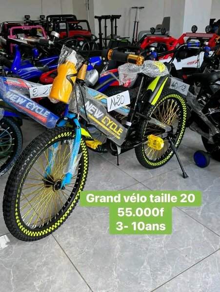 Vélo Enfant Taille 20"