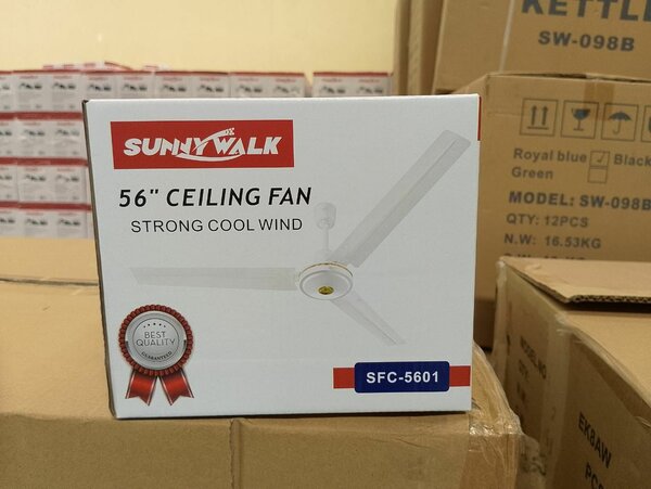 Sunnywalk ceiling fan