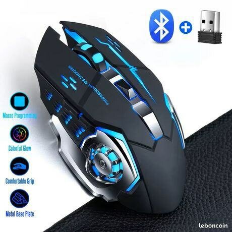 Souris Gaming RGB Sans Fil
