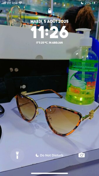 Lunettes de soleil élégantes