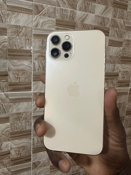 iPhone 12 Pro Max 256giga quasi neuf