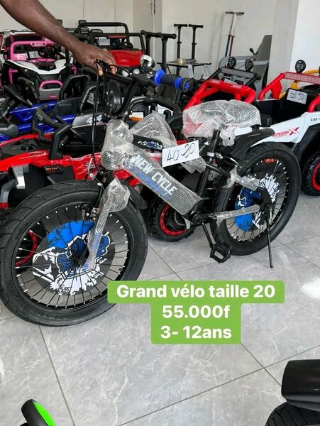 Vélo Enfant Taille 20