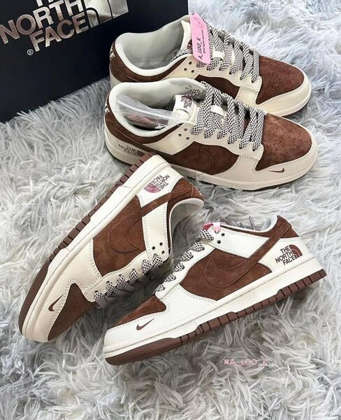 Nike sb dunk northface