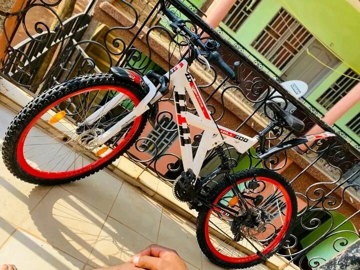 Vélo tout-terrain robuste