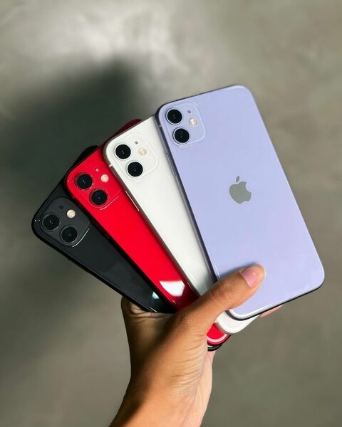 iPhone 11 Couleurs Variées