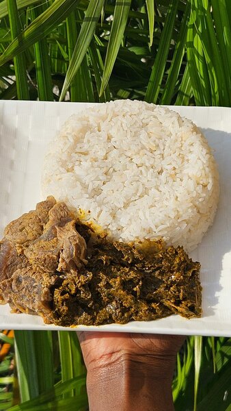 Repas savoureux au riz et viande