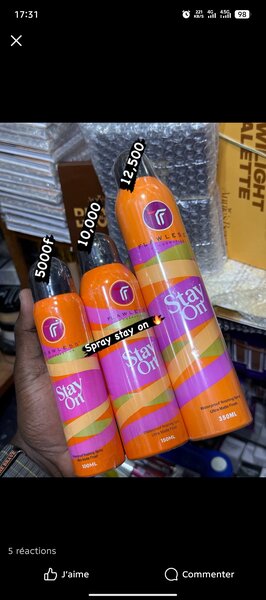 Spray fixateur Stay On