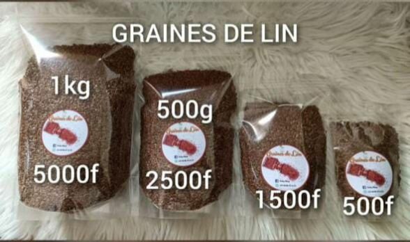 Graines de Lin Brunes