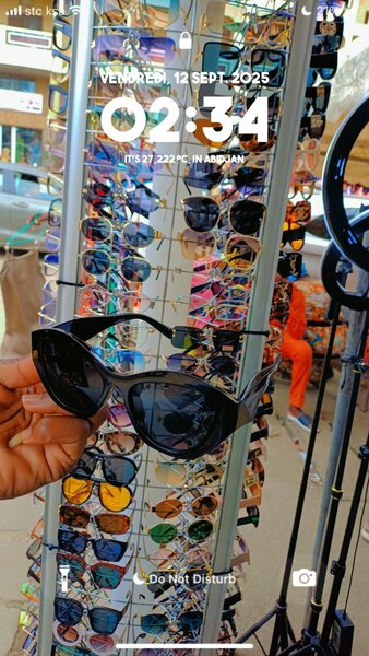 Lunettes de Soleil Élégantes