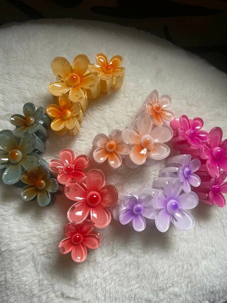 Pinces à cheveux fleurs colorées