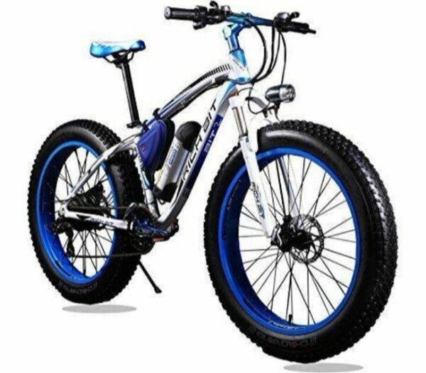 Vélo électrique tout terrain Fat Bike