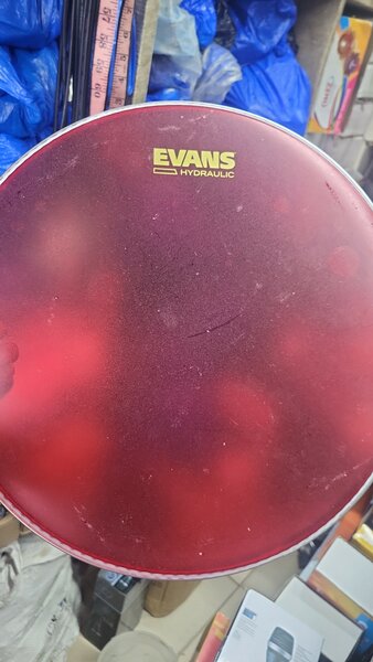 Evans Hydraulic Drum Heads