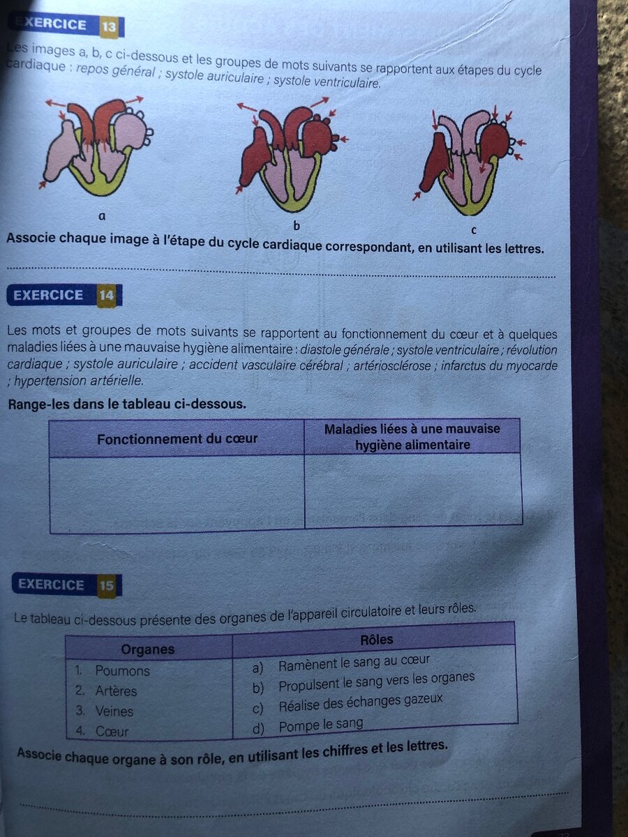 Cahier SVT 3e - Sciences de la Vie