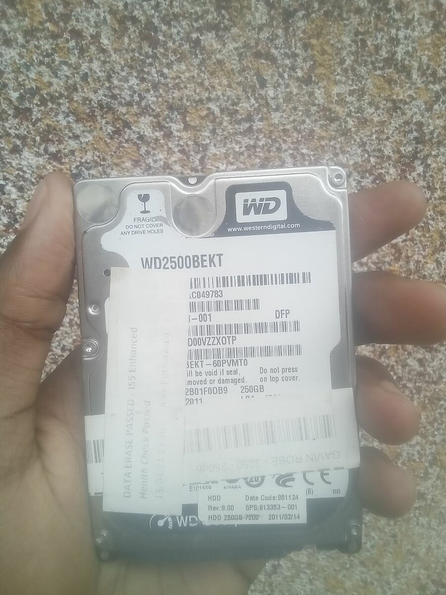 WD Disque Dur Interne 250GB