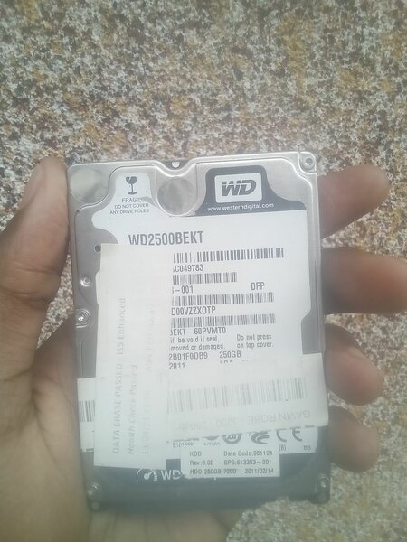 WD Disque Dur Interne 250GB